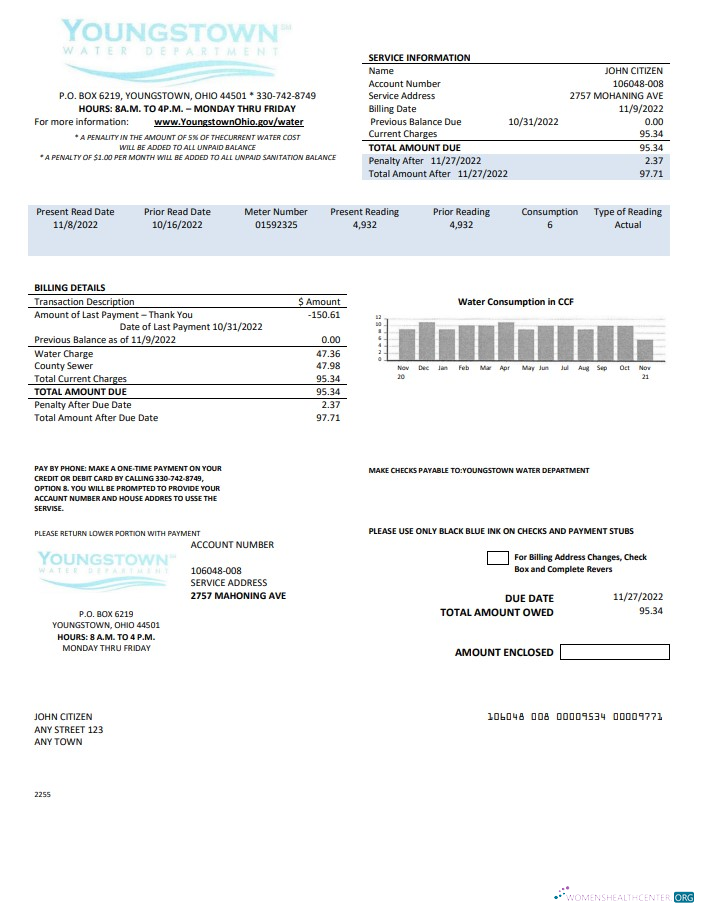 download USA Youngstown Water Department utility bill template in Word and PDF format PDF template